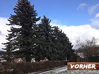 vorher